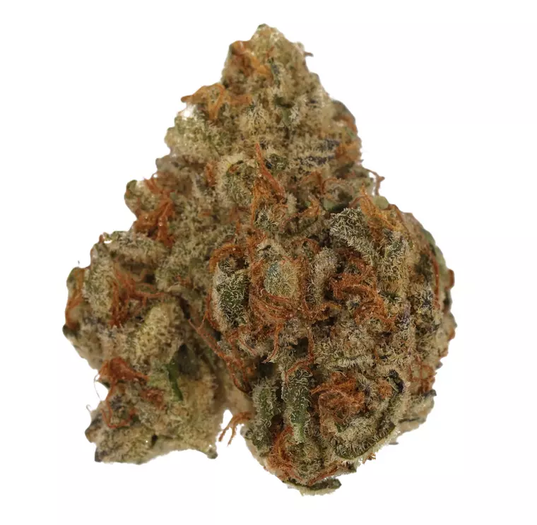 Cannamedical Sativa Classic AU – Produktbild des Anbieters Bloomwell