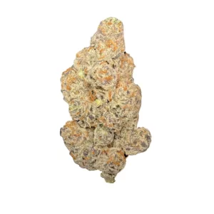 LIGHV Trails 26/1 BBL – Produktbild des Anbieters Bloomwell