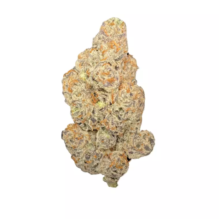 LIGHV Trails 26/1 BBL – Produktbild des Anbieters Bloomwell