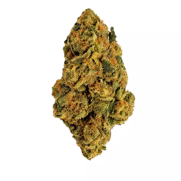 Tweed GMO 33/1 – Produktbild des Anbieters Bloomwell