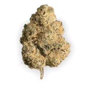 Peace Naturals 31/1 GC – Produktbild des Anbieters Bloomwell