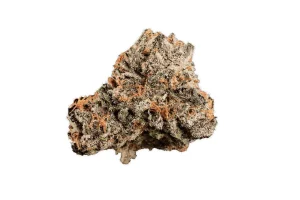 420 Compound 30/1 CA BER – Produktbild des Anbieters Bloomwell