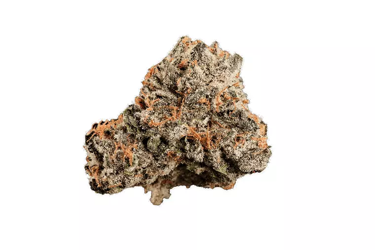 420 Compound 30/1 CA BER – Produktbild des Anbieters Bloomwell