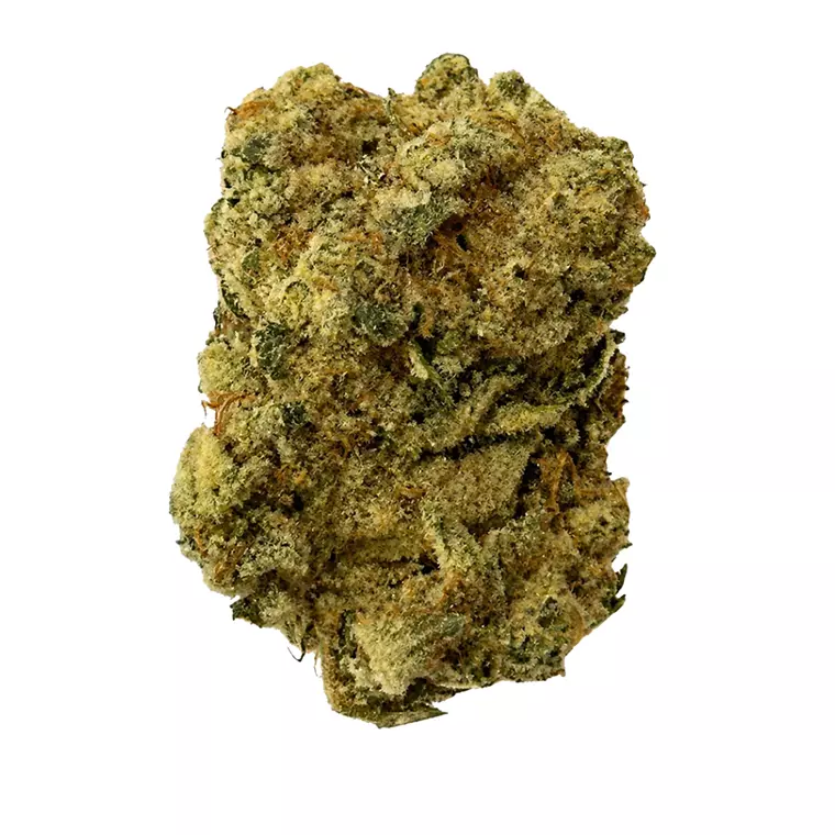Blayz 28/1 HM – Produktbild des Anbieters Bloomwell