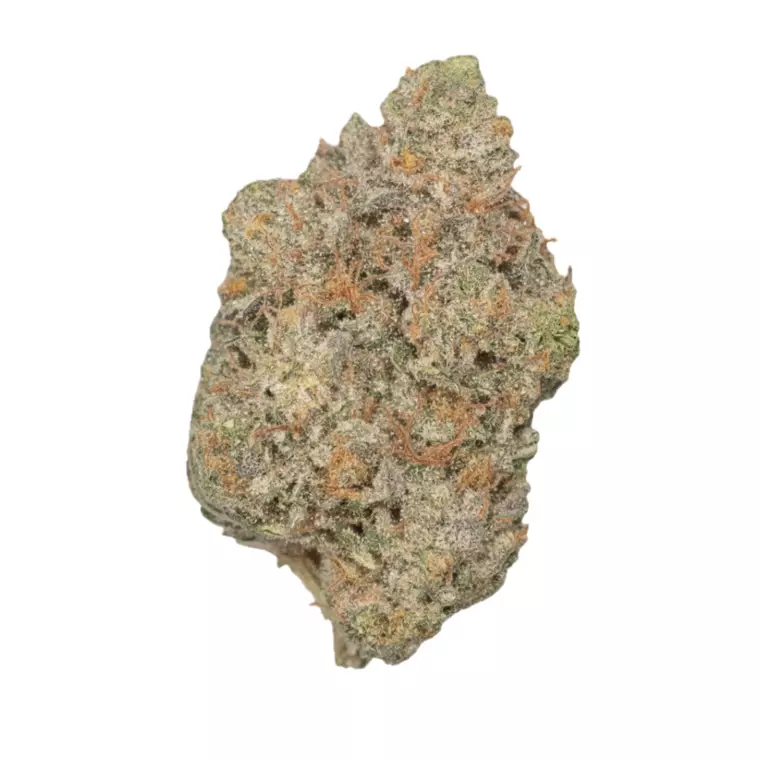 SKK GG 32/1 – Produktbild des Anbieters Bloomwell