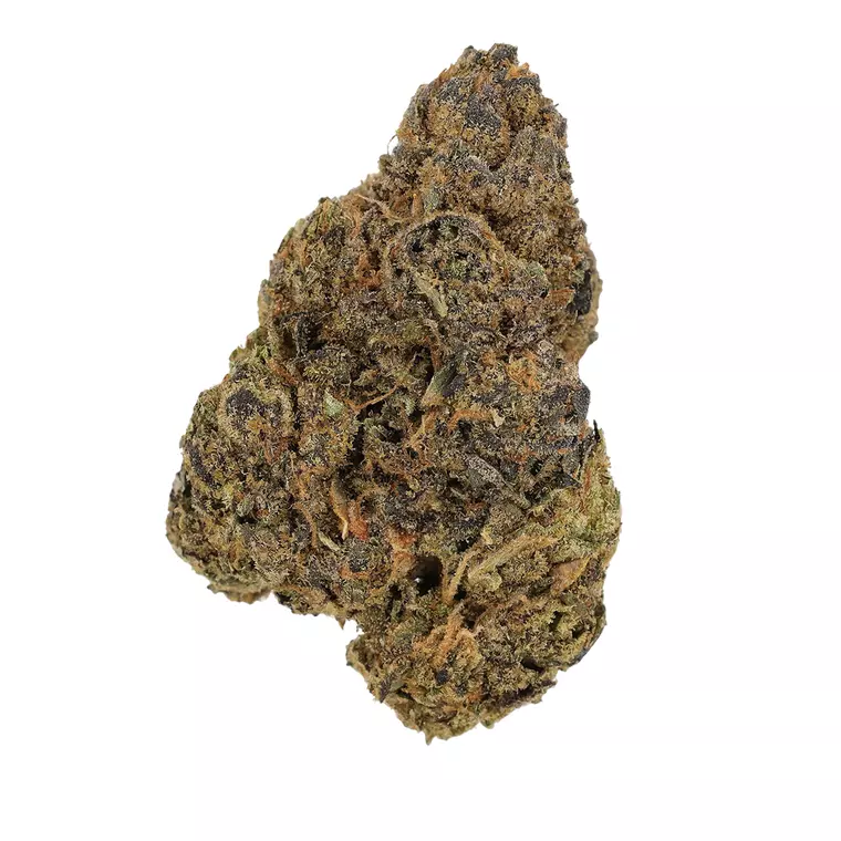 Cannamedical Hybrid Ultra BC – Produktbild des Anbieters Bloomwell