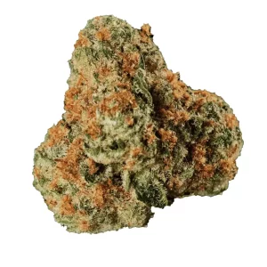 Huala 30/1 UK WTR – Produktbild des Anbieters Bloomwell