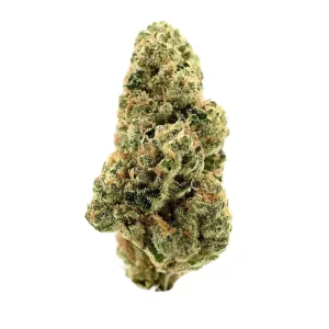 Demecan GT Epic Drop 30:01 – Produktbild des Anbieters Bloomwell