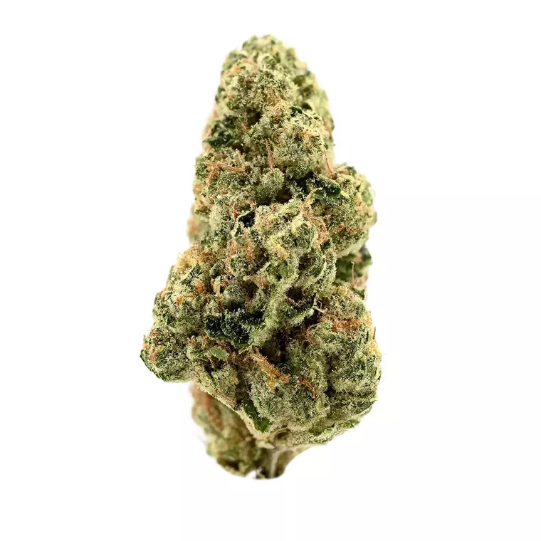Demecan GT Epic Drop 30:01 – Produktbild des Anbieters Bloomwell