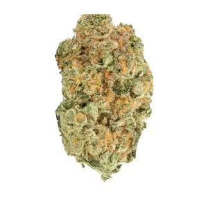ZOIKS 31/1 MN – Produktbild des Anbieters Bloomwell