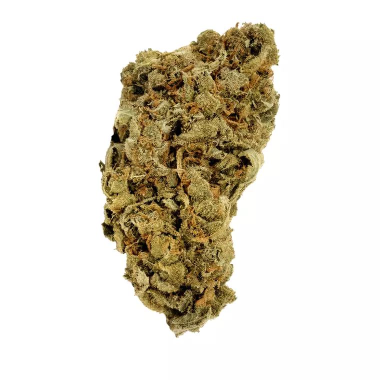 Supreme 30/1 CS – Produktbild des Anbieters Bloomwell