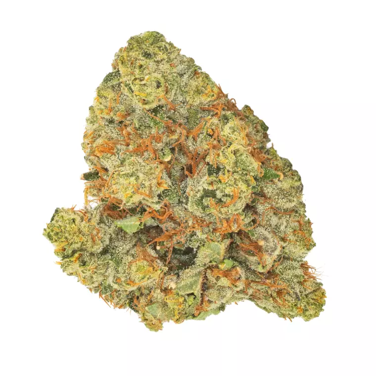 SanRaf 29/1 PNK – Produktbild des Anbieters Bloomwell