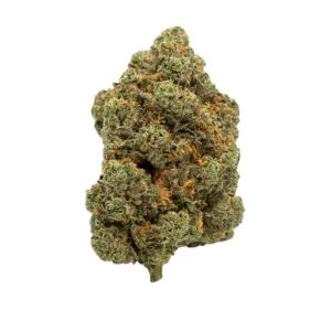 AMP KHI BC THC33 – Produktbild des Anbieters Bloomwell