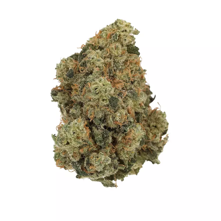 Budza 24/1 WRZ – Produktbild des Anbieters Bloomwell