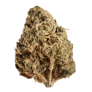 Huala 27/1 CA ALM – Produktbild des Anbieters Bloomwell