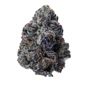 22/1 IUVO OC – Produktbild des Anbieters Bloomwell