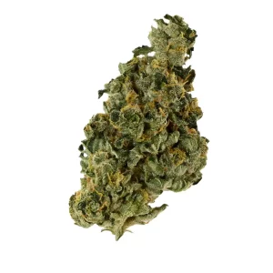Demecan Core Saxonia 28:01 – Produktbild des Anbieters Bloomwell