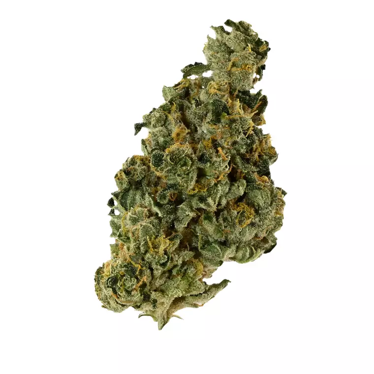 Demecan Core Saxonia 28:01 – Produktbild des Anbieters Bloomwell