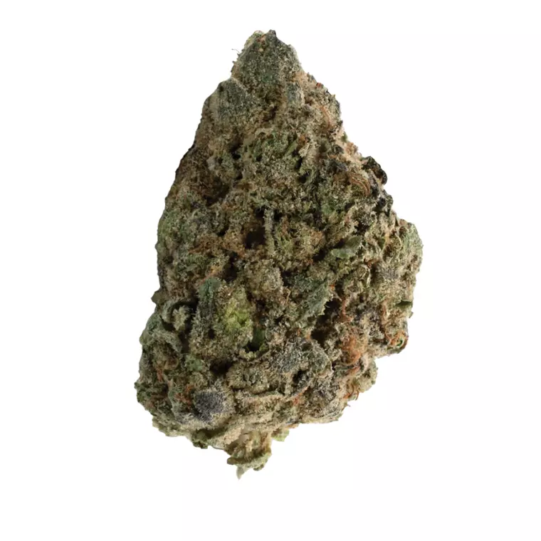 Barongo 26/1 PUC – Produktbild des Anbieters Bloomwell