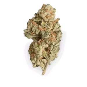 Demecan Typ 1 – Produktbild des Anbieters Bloomwell