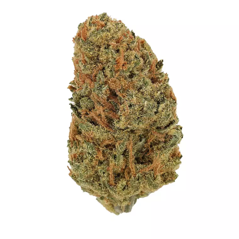 Cannamedical Sativa Classic SA – Produktbild des Anbieters Bloomwell