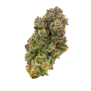 alephSana red 27/1 – Produktbild des Anbieters Bloomwell