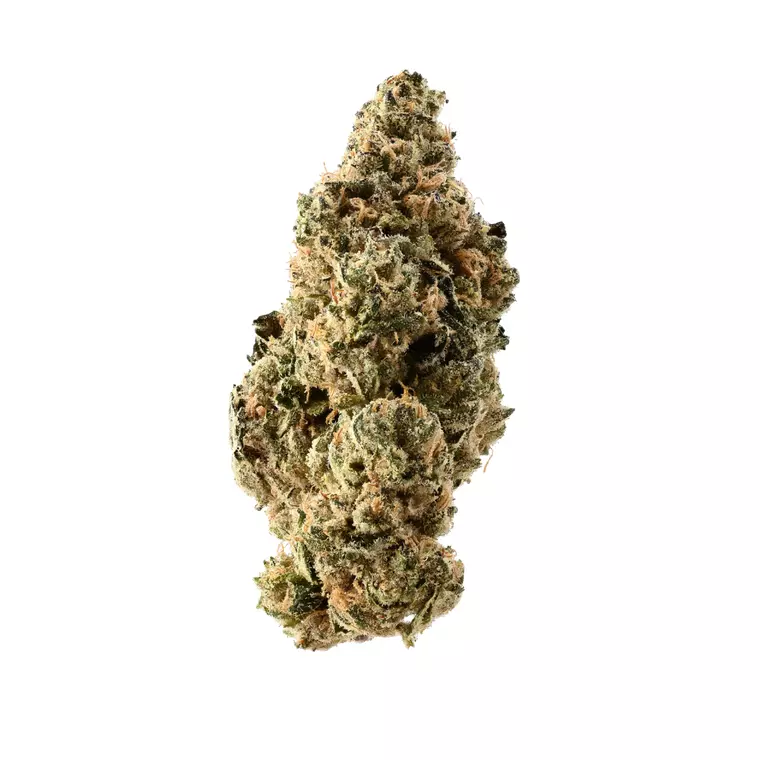 Demecan PS MINT 27:01 Drop – Produktbild des Anbieters Bloomwell