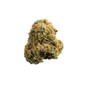Avaay 21/1 BKR – Produktbild des Anbieters Bloomwell