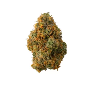 Doja 24/1 Z P-Corn (smalls) – Produktbild des Anbieters Bloomwell