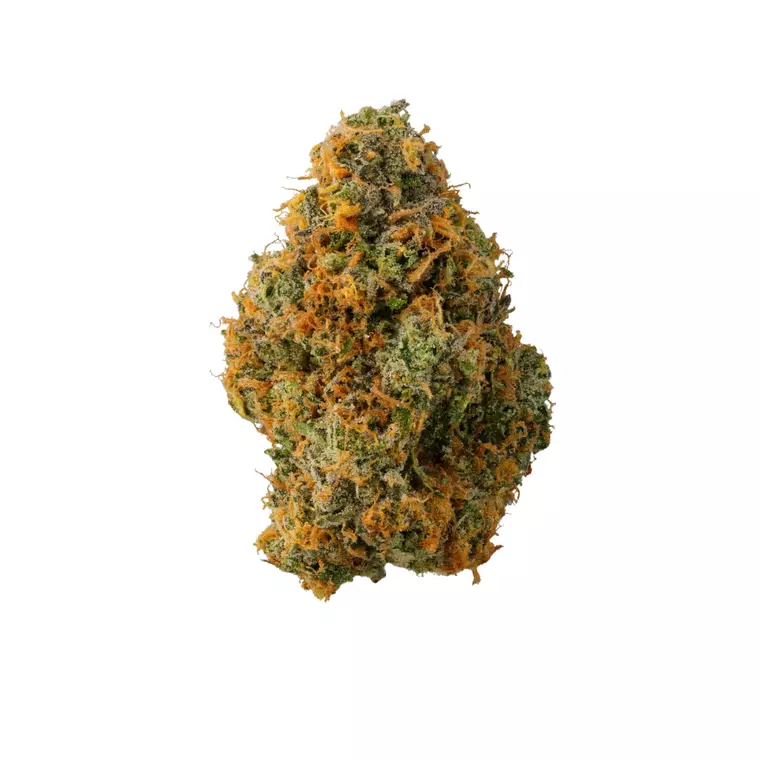 Doja 24/1 Z P-Corn (smalls) – Produktbild des Anbieters Bloomwell