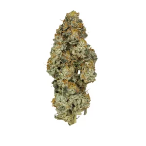 30/1 IUVO OC – Produktbild des Anbieters Bloomwell