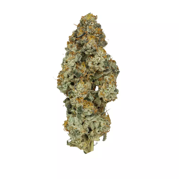 30/1 IUVO OC – Produktbild des Anbieters Bloomwell