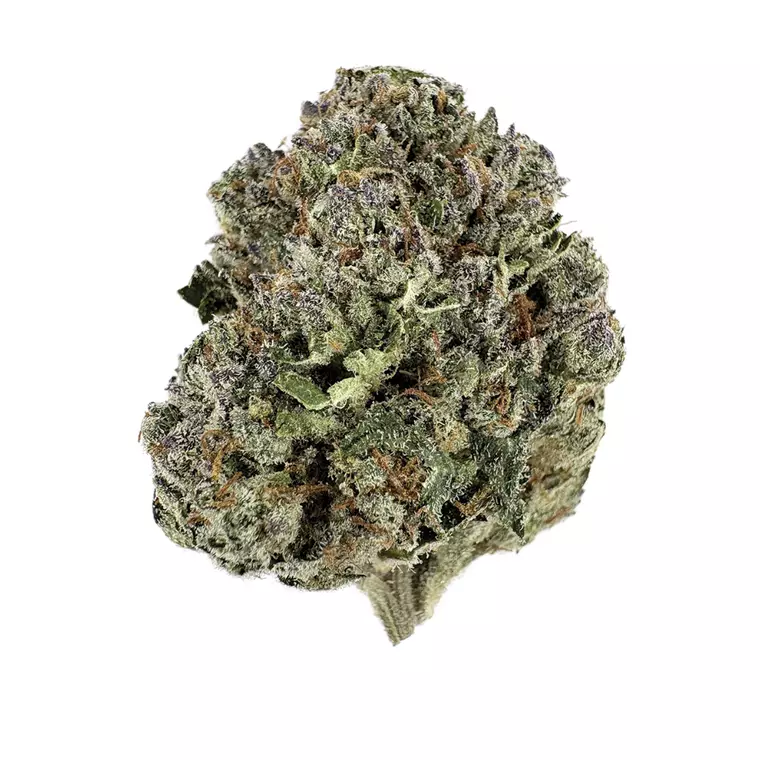 enua 25/1 JFK CA – Produktbild des Anbieters Bloomwell