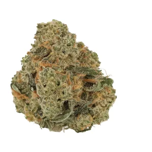 Cannamedical Indica Forte DK – Produktbild des Anbieters Bloomwell