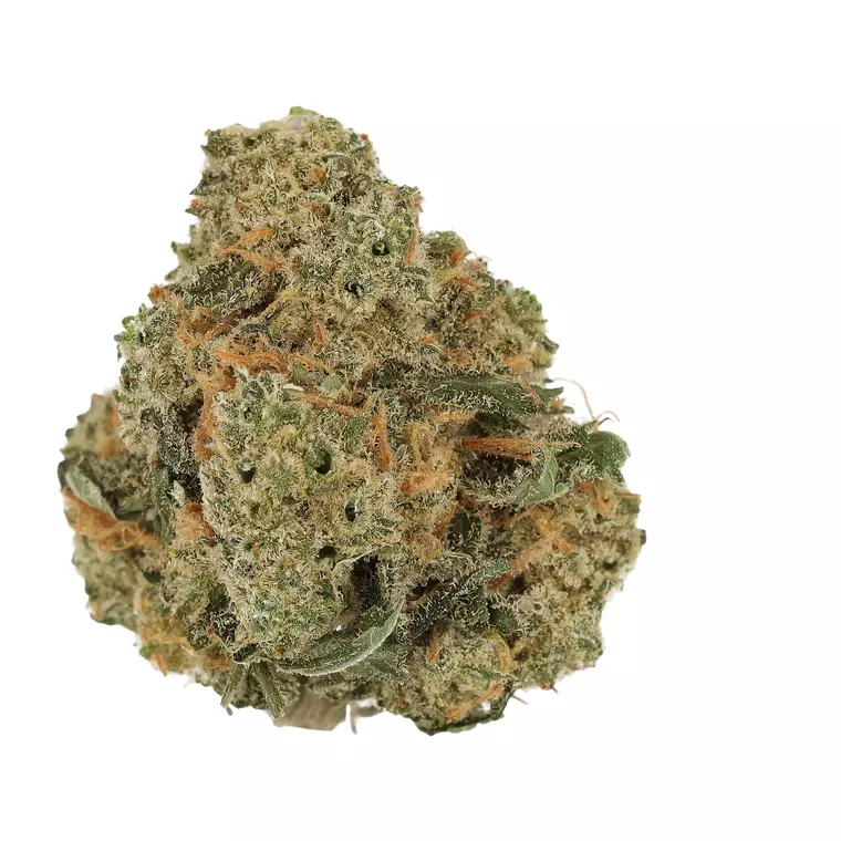 Cannamedical Indica Forte DK – Produktbild des Anbieters Bloomwell