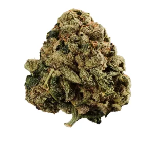 Curaleaf Natural 30/1 PT WPT – Produktbild des Anbieters Bloomwell