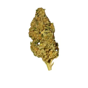 NICE 22/1 BZO – Produktbild des Anbieters Bloomwell