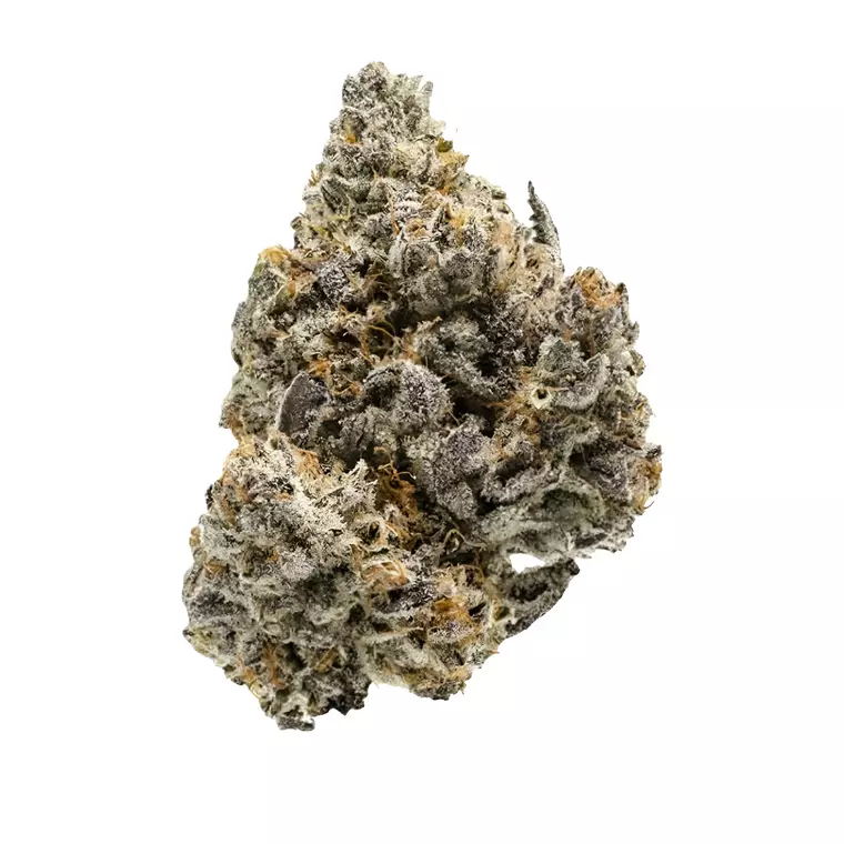 Demecan Core LimeZ 21:01 – Produktbild des Anbieters Bloomwell