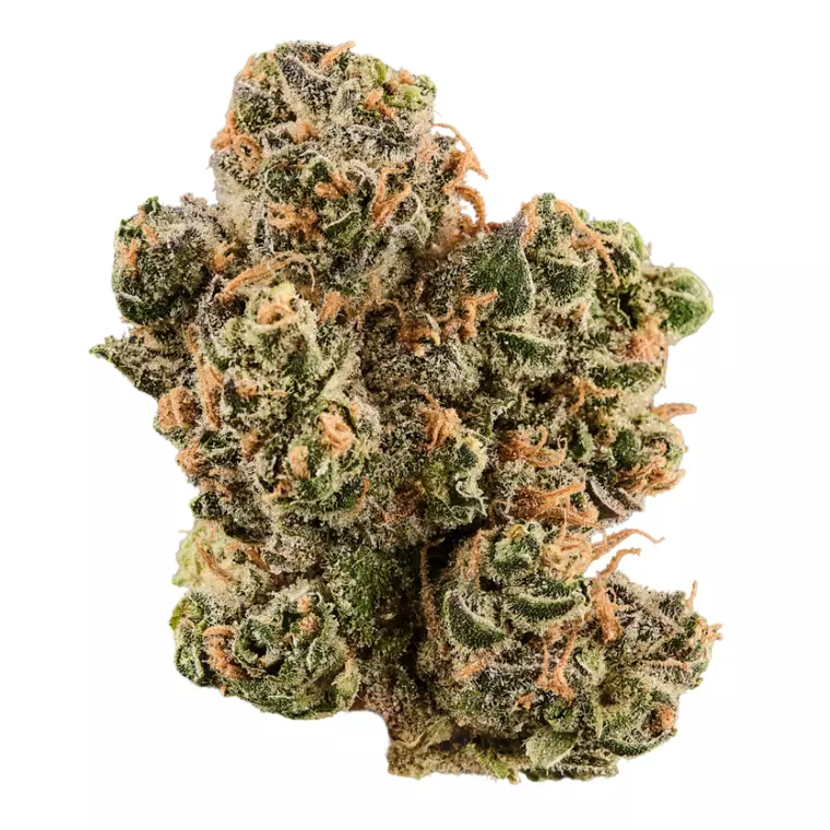 Curaleaf Natural 25/1 CA GCT – Produktbild des Anbieters Bloomwell