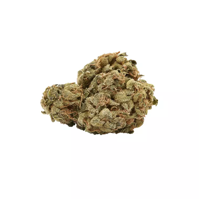 Canopy Bakerstreet 22 – Produktbild des Anbieters Bloomwell