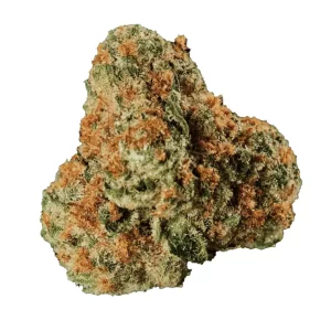 Huala 27/1 UK WTR – Produktbild des Anbieters Bloomwell