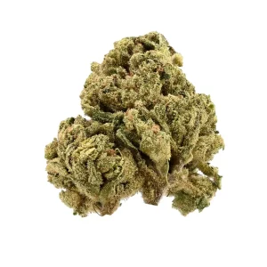 TRUU GT 26:01 – Produktbild des Anbieters Bloomwell