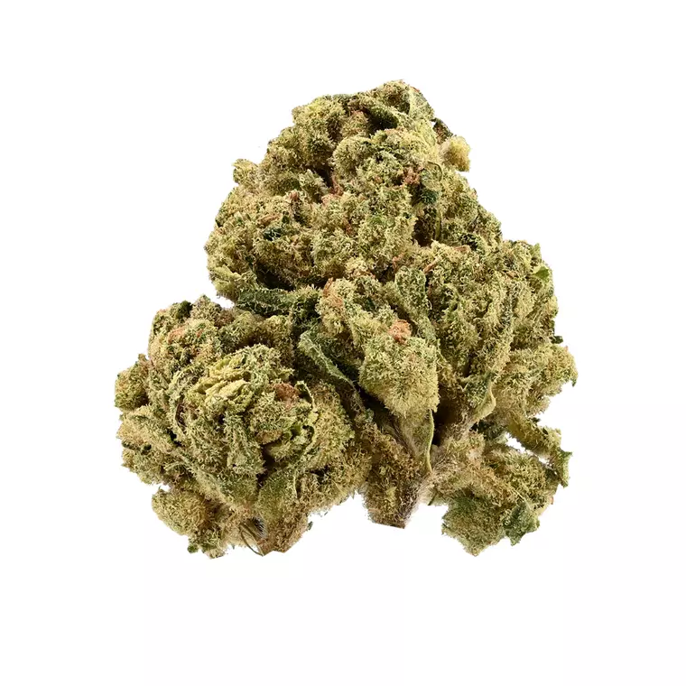 TRUU GT 26:01 – Produktbild des Anbieters Bloomwell