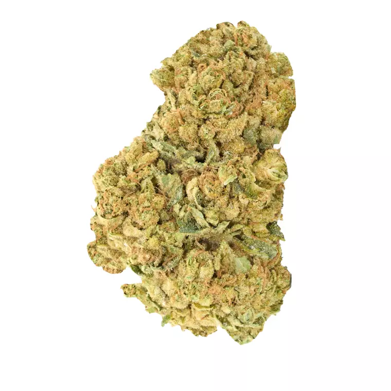 Tilray Craft THC25 BCR – Produktbild des Anbieters Bloomwell