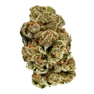 slouu 27/1 GLZ CA – Produktbild des Anbieters Bloomwell