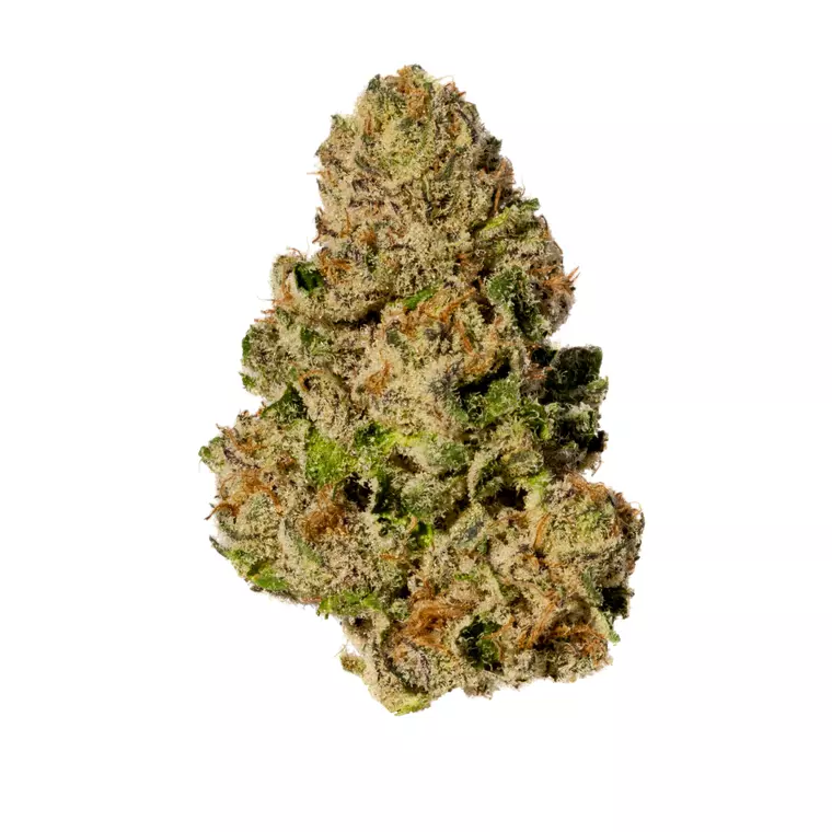 Breezy Crafted MIG 22/1 – Produktbild des Anbieters Bloomwell