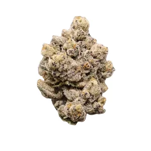 AMICI 33/1 GB – Produktbild des Anbieters Bloomwell