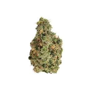 Avaay 35/1 SCG – Produktbild des Anbieters Bloomwell