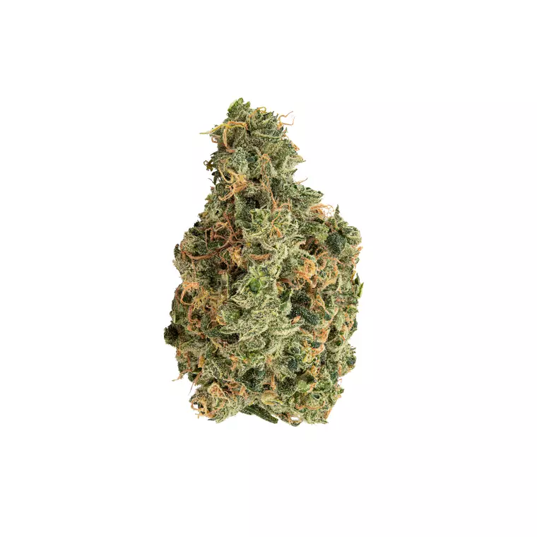 Avaay 35/1 SCG – Produktbild des Anbieters Bloomwell
