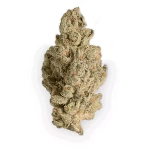 420 Natural 20/1 CA GG4 – Produktbild des Anbieters Bloomwell